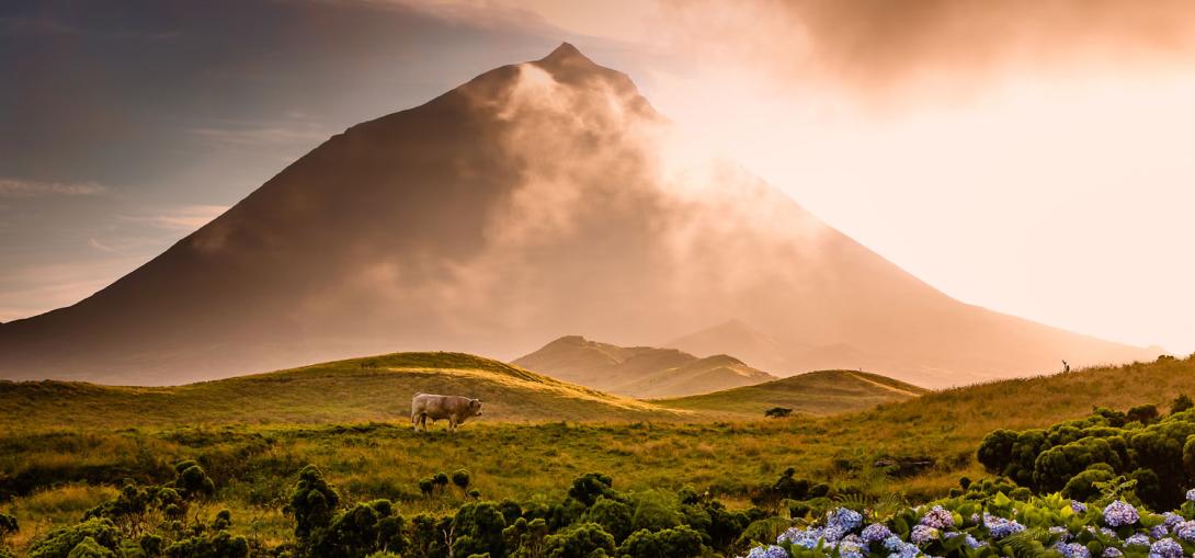 Mount Pico